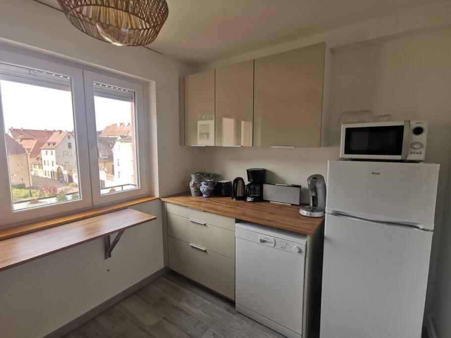 Logement Colmar Centre Avec Parking Bagian luar foto