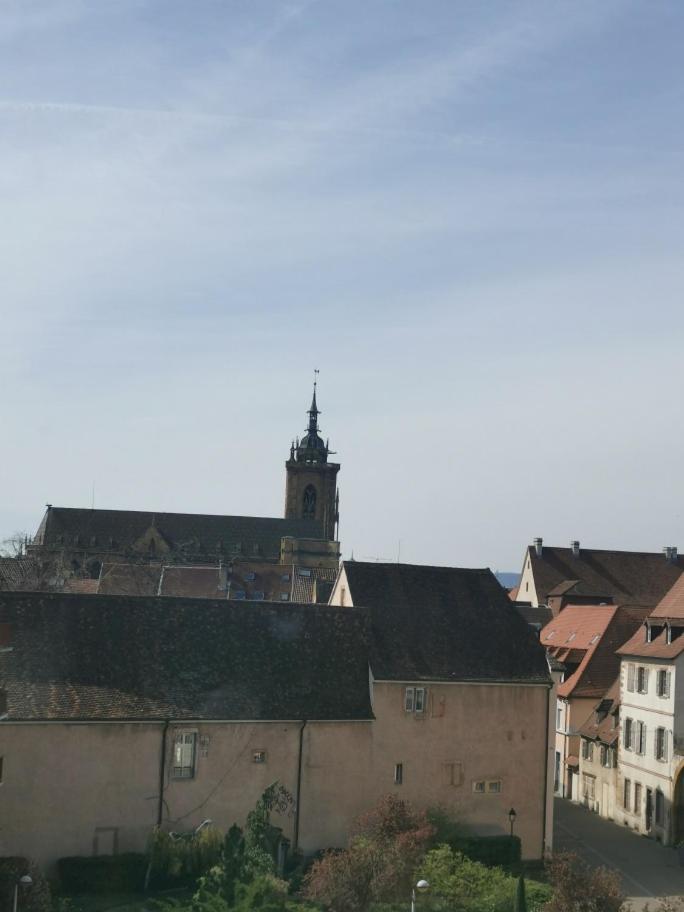 Logement Colmar Centre Avec Parking Bagian luar foto